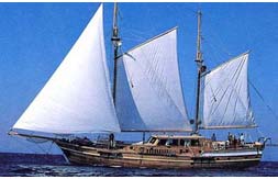 Bodrum,Marmaris,Fethiye,G�cek,bodrum blue cruise,bodrum cabin charter,bodrum yacht charter,bodrum gokova gulet charters,bodrum marmaris boat cruises,bodrum fethiye charters,bodrum yachting,bodrum sailing