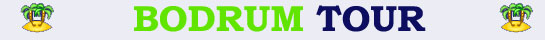 bodrum airport car hire,bodrum airport car rental,bodrum airport transfer,bodrum airport rent a car,car hire bodrum airport,car rental bodrum airport,dalaman airport,izmir airport,dalaman car rental, didim car rental,kusadasi car rental,bodrum car rental