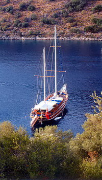 Blue Cruise